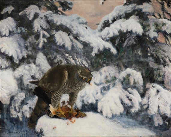Goshawk with prey