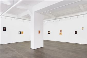 Alice Tippit: Figs - Rodolphe Janssen, Brussels