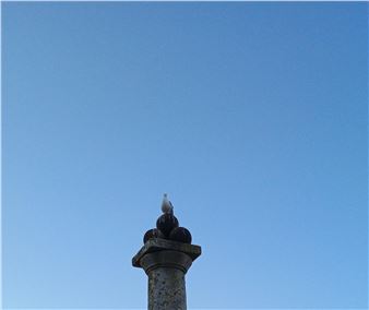 Seaside Surrealism - Bobinska Brownlee New River