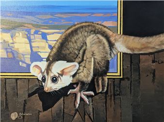 Possum at Willunga - Garry Duncan