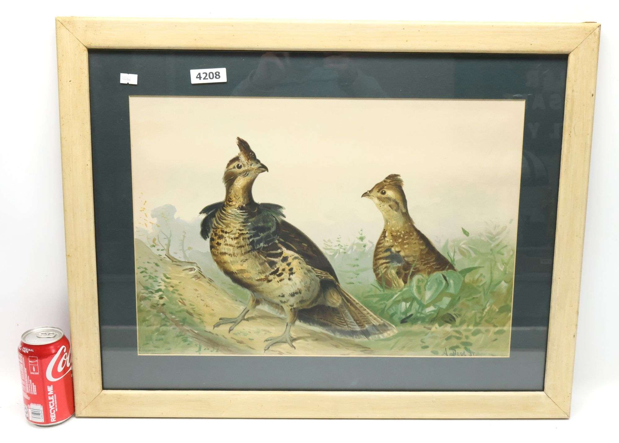 Alexander Pope Jr. | Quail | MutualArt