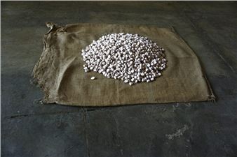 Biennale of Sydney Announces Theme and Artists for 2026 Edition