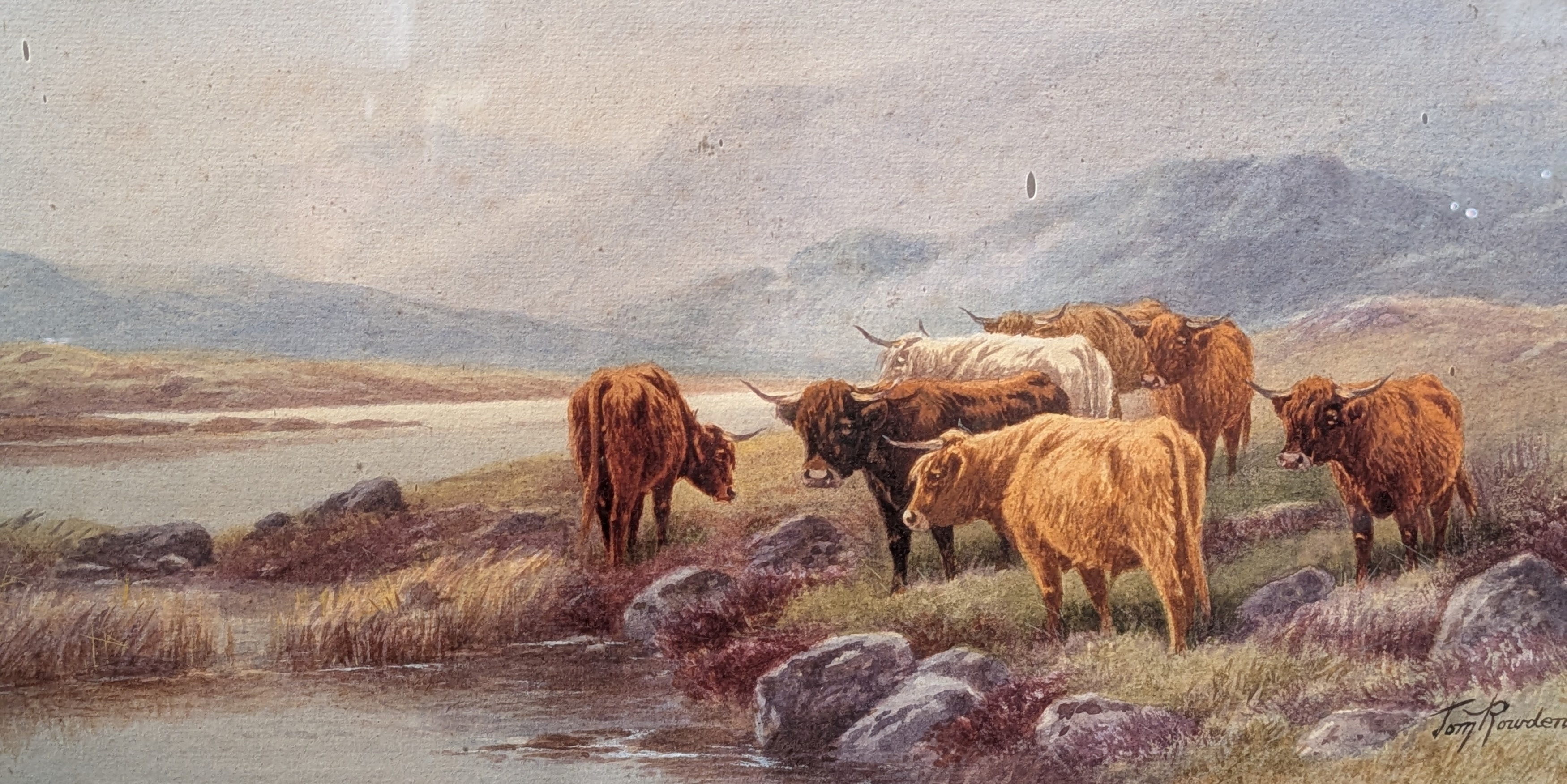 Thomas Rowden | Highland cattle grazing next to a river | MutualArt