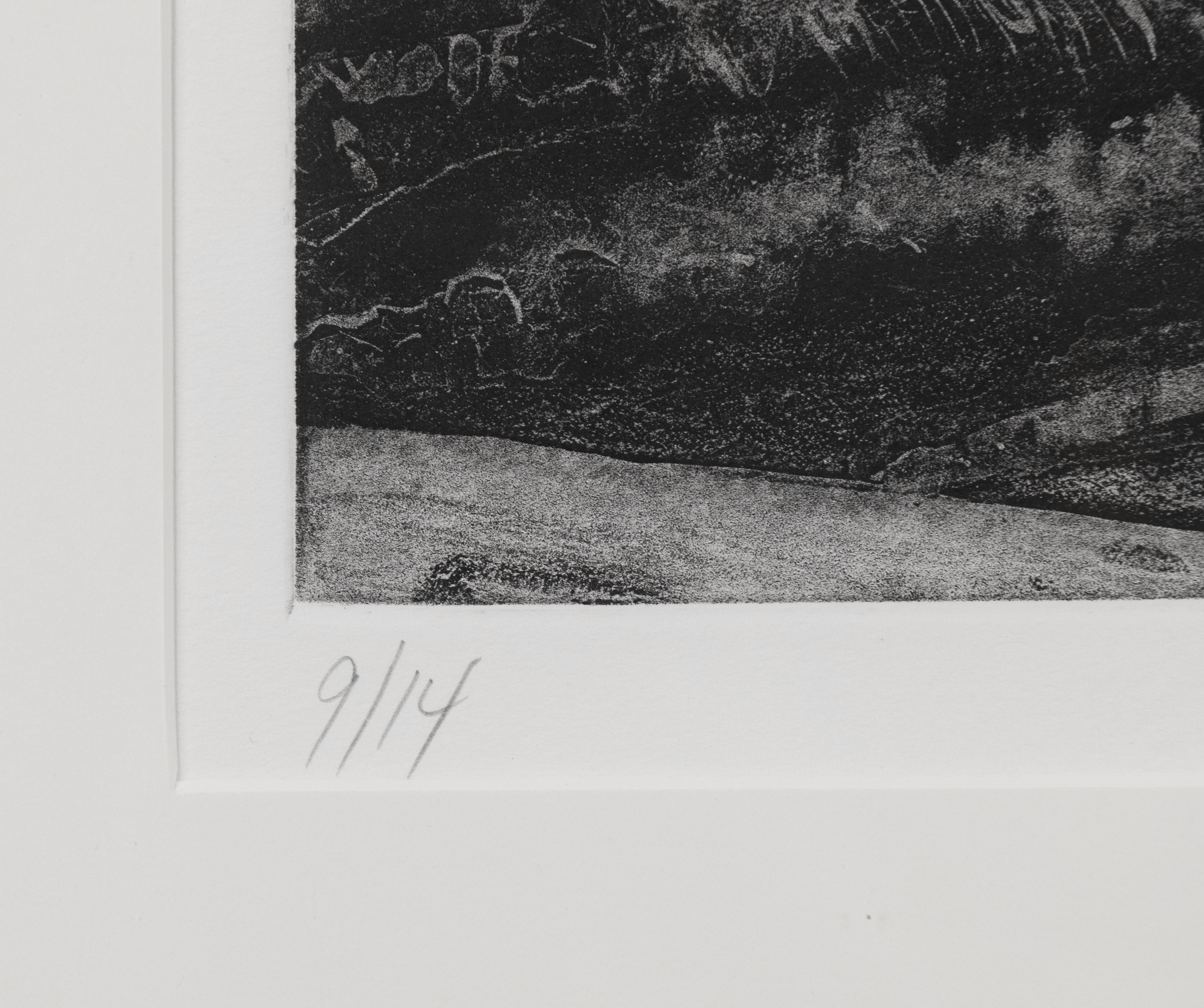 Dan Steeves | PERPENDING MIDGIC 9 of 14 1997 signed & numbered with the ...