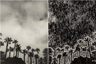 Dual Presence - Franciszek Kruczkowski