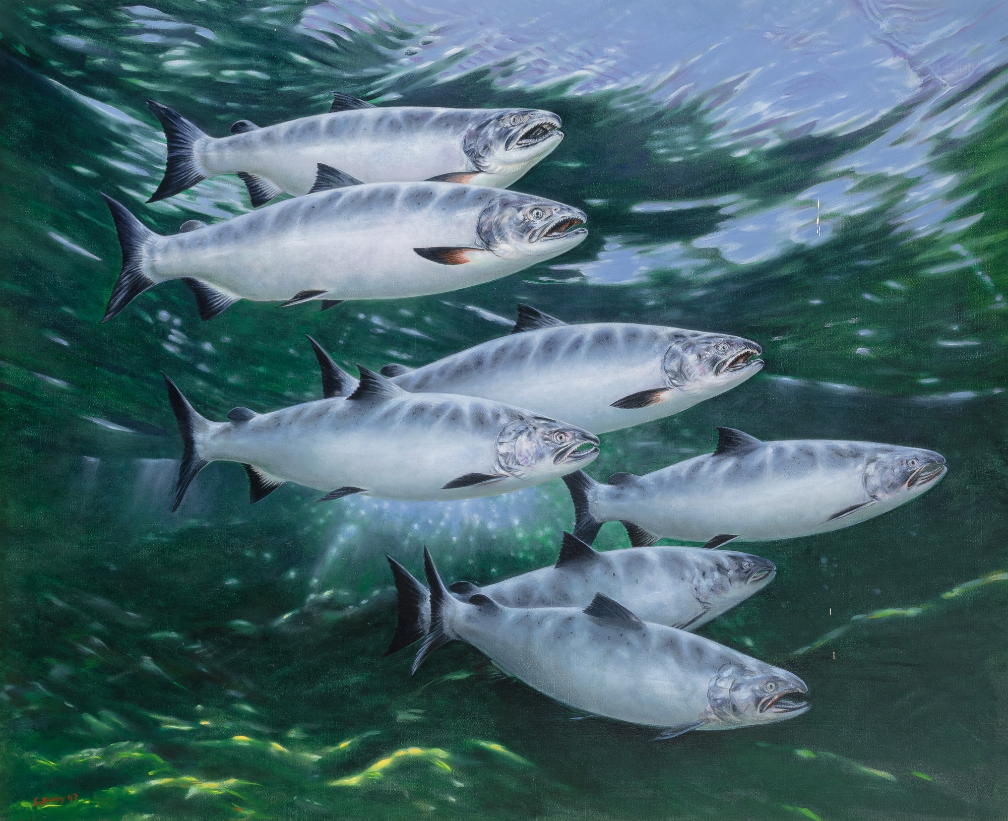 Roderick Sutterby | Trout II (1997) | MutualArt