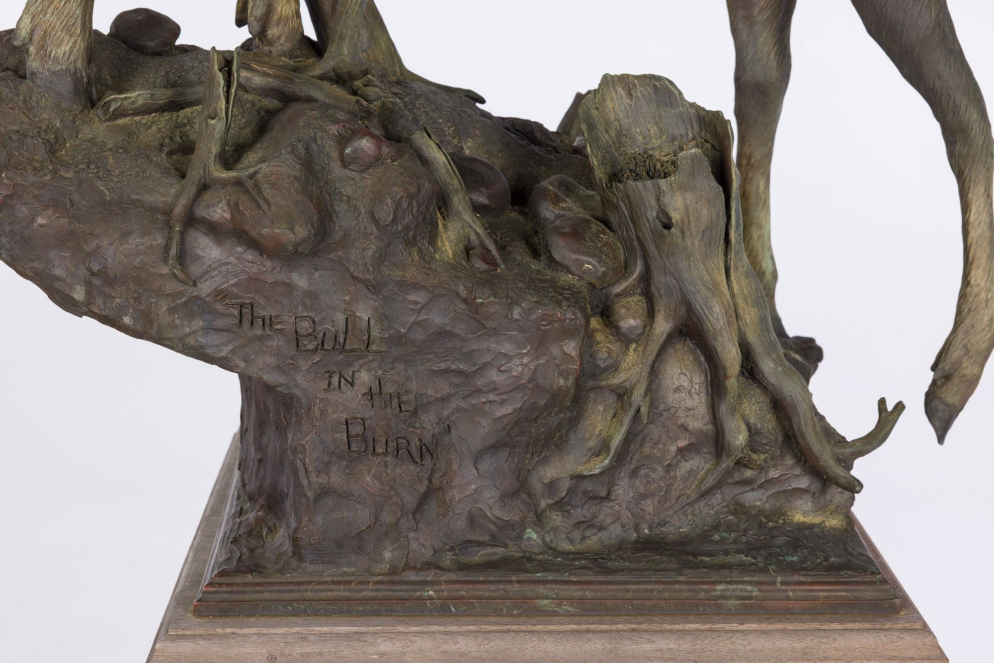 Sam Anton Terakedis | The Bull in the Burn (6) | MutualArt