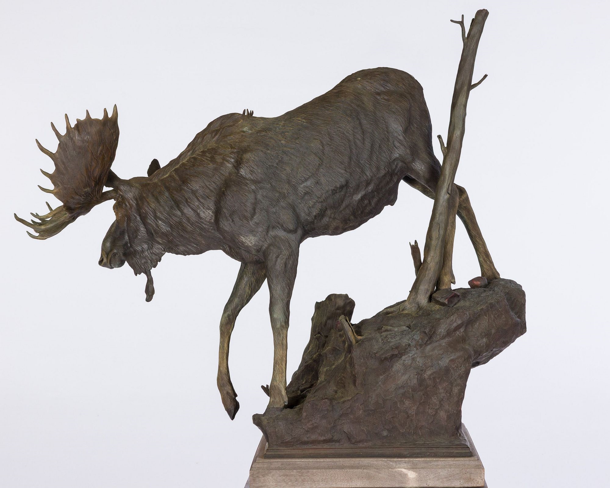 Sam Anton Terakedis | The Bull in the Burn (6) | MutualArt