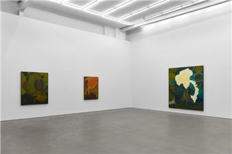 Randy Wray: Fossils to Flowers