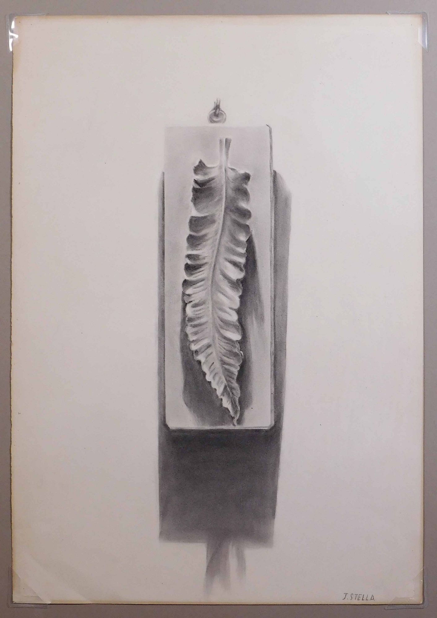 Joseph Stella | Sketch of a Fern Leaf | MutualArt