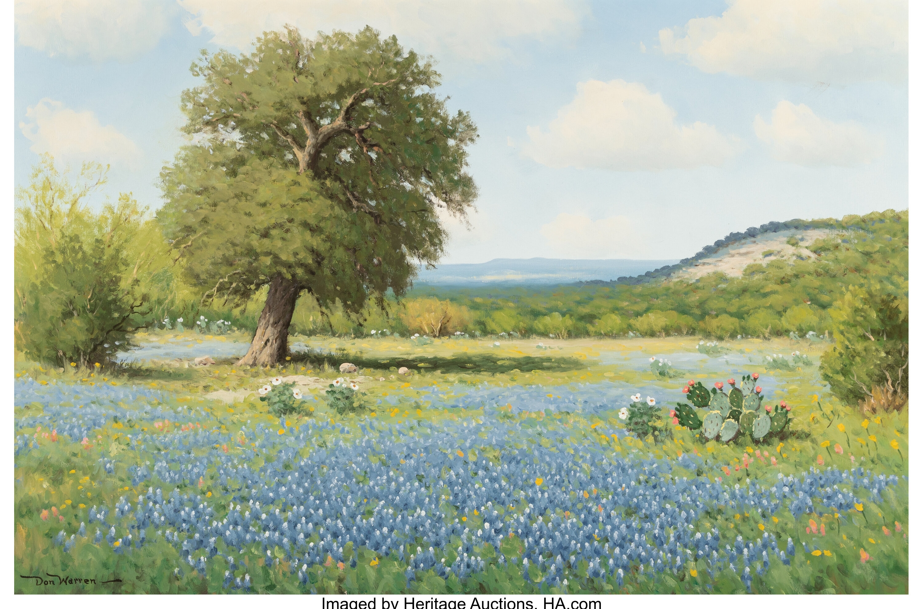 Don Warren | Spring Time Bluebonnets | MutualArt