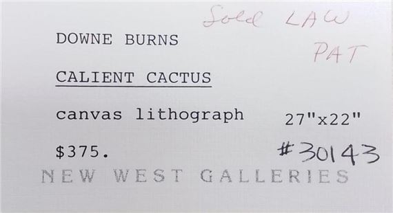 Downé Burns | Downe Burns Calient Cactus Canvas Lithograph | MutualArt