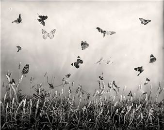 At a Glance - Ottawa Art Gallery