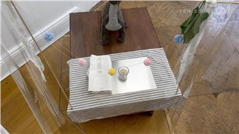 Phung-Tien Phan: Kein Charakter / Schiefe Zähne, Berlin