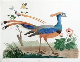 Old and Rare Books - Cambi Auction House, Genoa