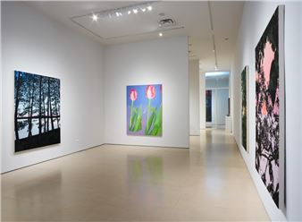 Bradley Kerl: Magic Hour - McClain Gallery