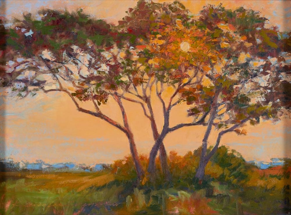 Artwork by Karen Lee Crenshaw, Sunset Through the Live Oaks, Made of Oil on canvas