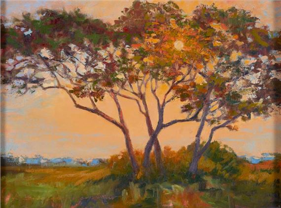 Sunset Through the Live Oaks - Karen Lee Crenshaw