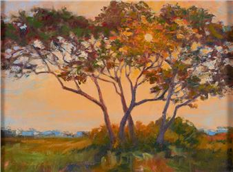 Sunset Through the Live Oaks - Karen Lee Crenshaw