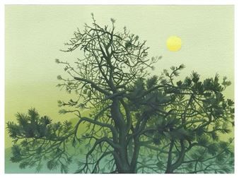 Robert Minervini: 36 Views - Rena Bransten Gallery