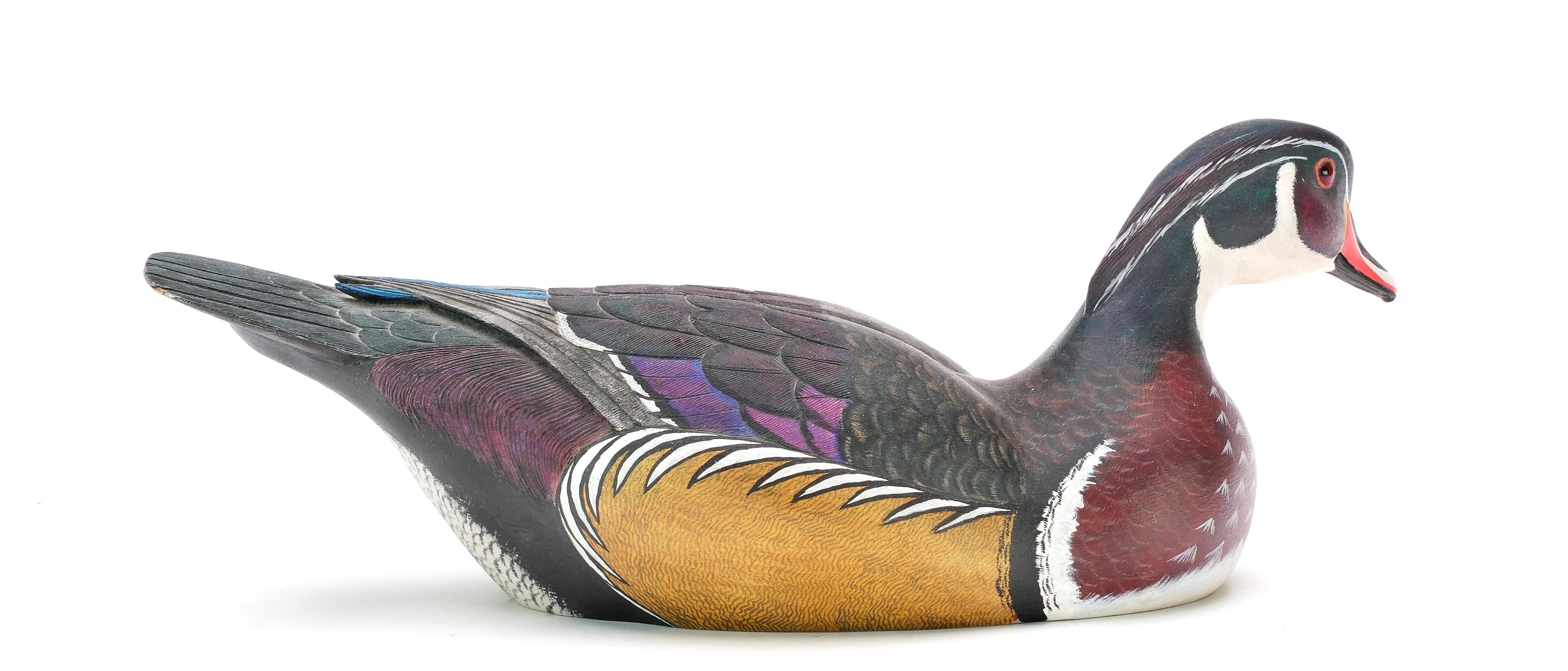 Tom Braham | Duck in a swimming pose (1977) | MutualArt