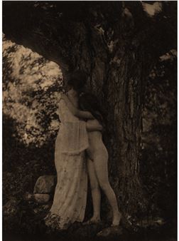 Nature (from Camera Work XXVI - Alice Boughton