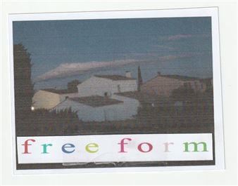 Julien Goniche: Free Form - Rinde am Rhein