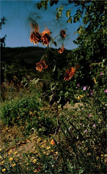 Ergens tussen hoop en vrees - Rijksmuseum Twenthe
