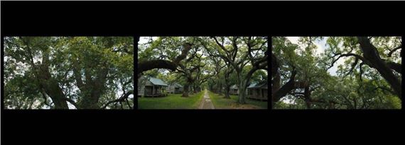 Dawoud Bey - Orlando Museum of Art