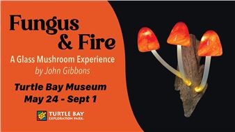 John Gibbons: Fungus and Fire: A Glass Mushroom Experience - Turtle Bay Exploration Park