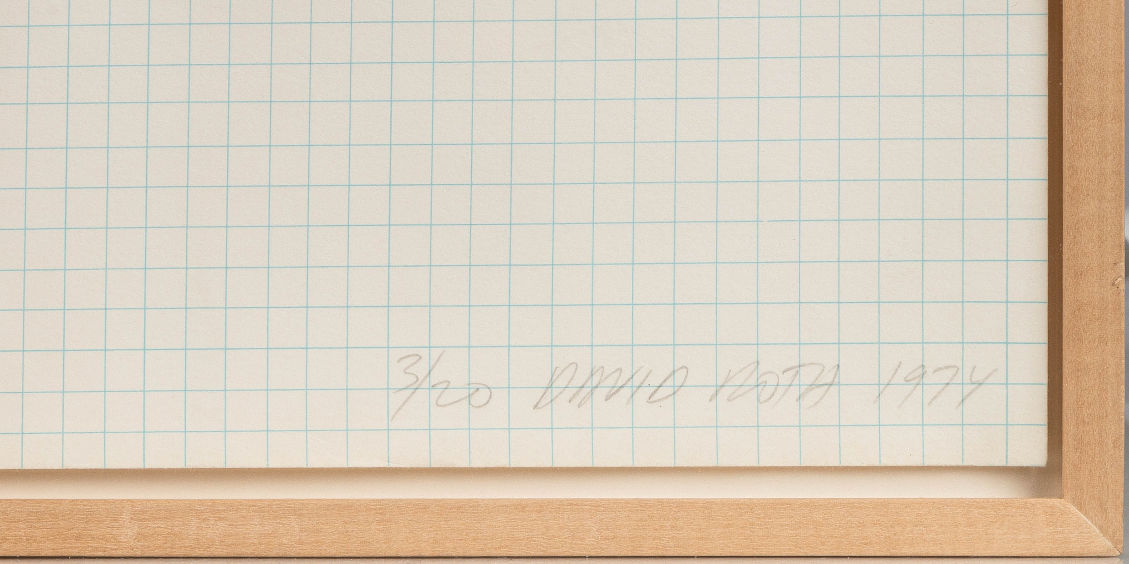 David Roth | Metamorphosis Works (1974) | MutualArt