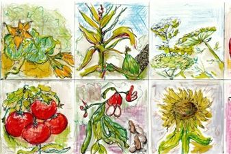 The Reciprocity Garden. ᐋᐧᐦᑰᐦᑐᐃᐧᐣ (wâhkôhtowin) - Art Gallery of Alberta