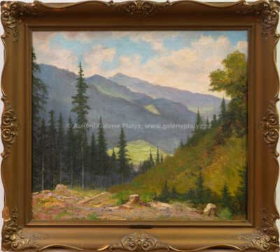 Š辱čá - Jan Minařík