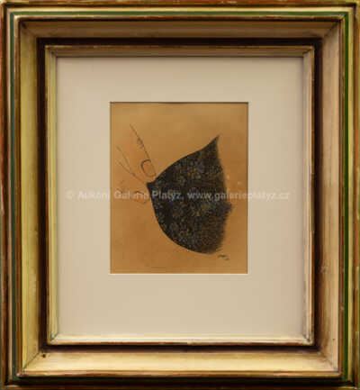 Studna ve věži/Střepy snů by Toyen