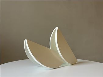 Nicky Hirst: Slant - domobaal