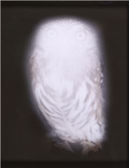 Smiling Barn Owl III - Anna Vogel