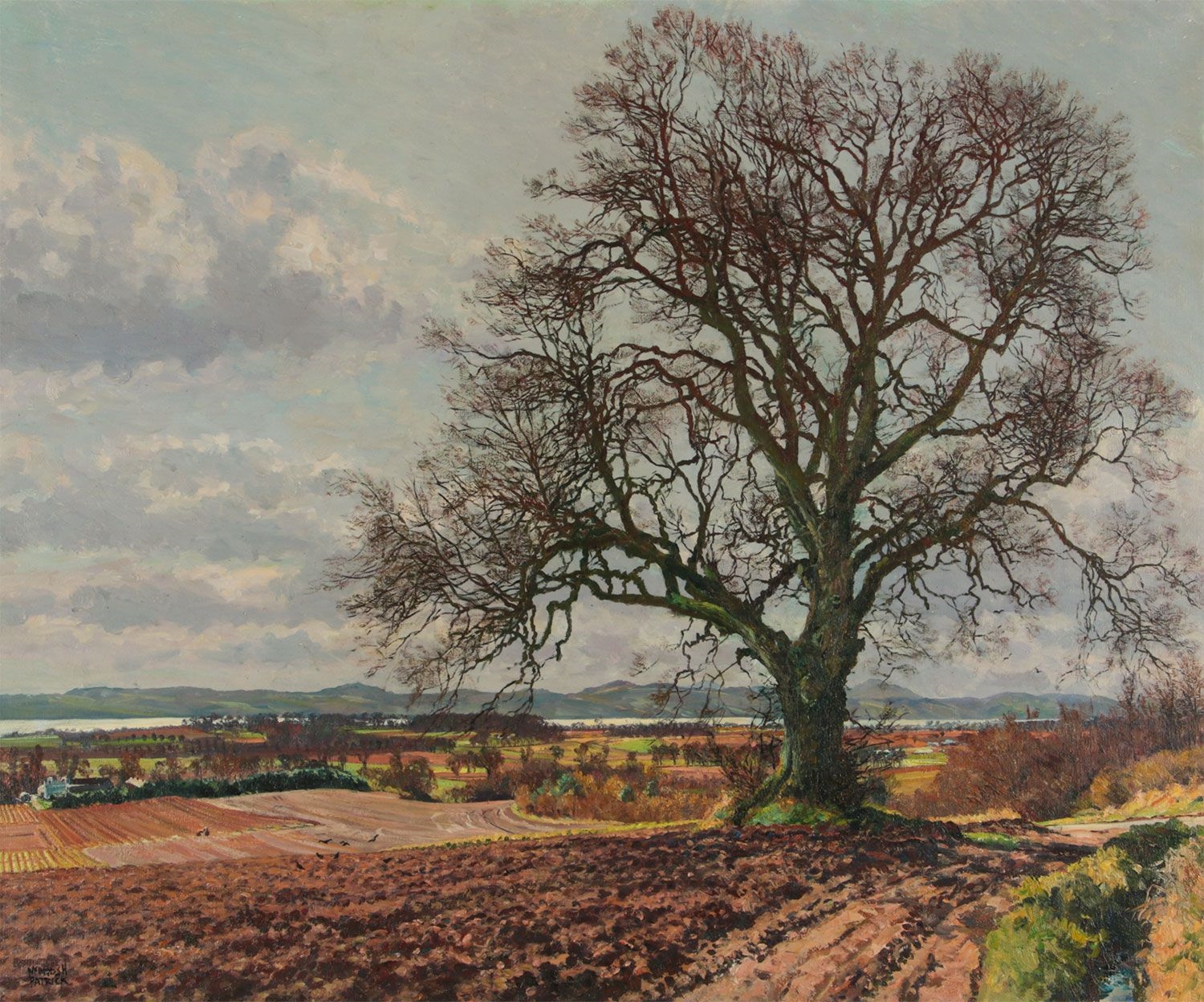 Artwork by James McIntosh Patrick‏, THE ELM TREE LOOKING OVER PERTHSHIRE, Made of OIL ON CANVAS