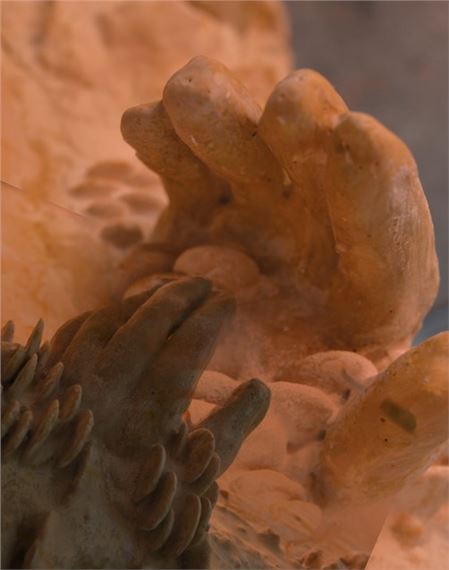 Alma Heikkilä: Individuality, Identity, And Related Metaphysical Ideas - RADIUS Center for Contemporary Art and Ecology