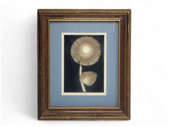 A flower crafted from caribou hair - Myrtle de Meulles