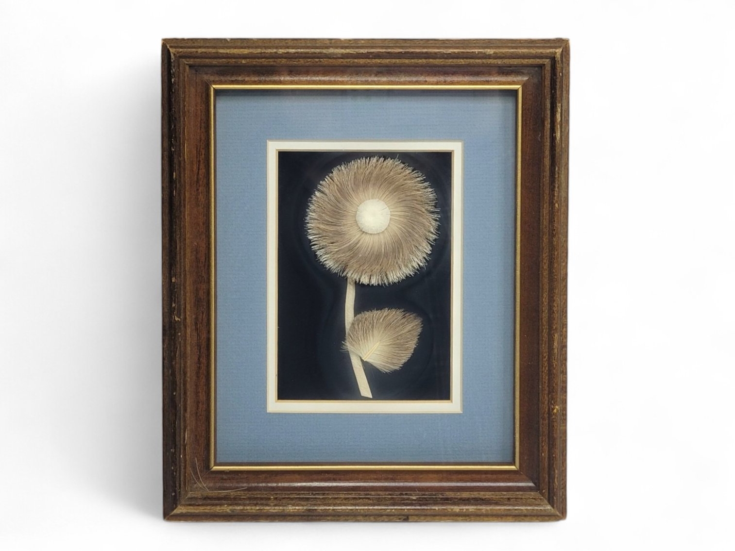 Artwork by Myrtle de Meulles, A flower crafted from caribou hair