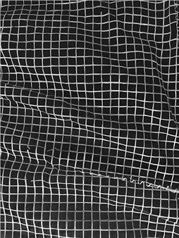Fiene Scharp: Dissolving Grids - Kuckei + Kuckei, Berlin