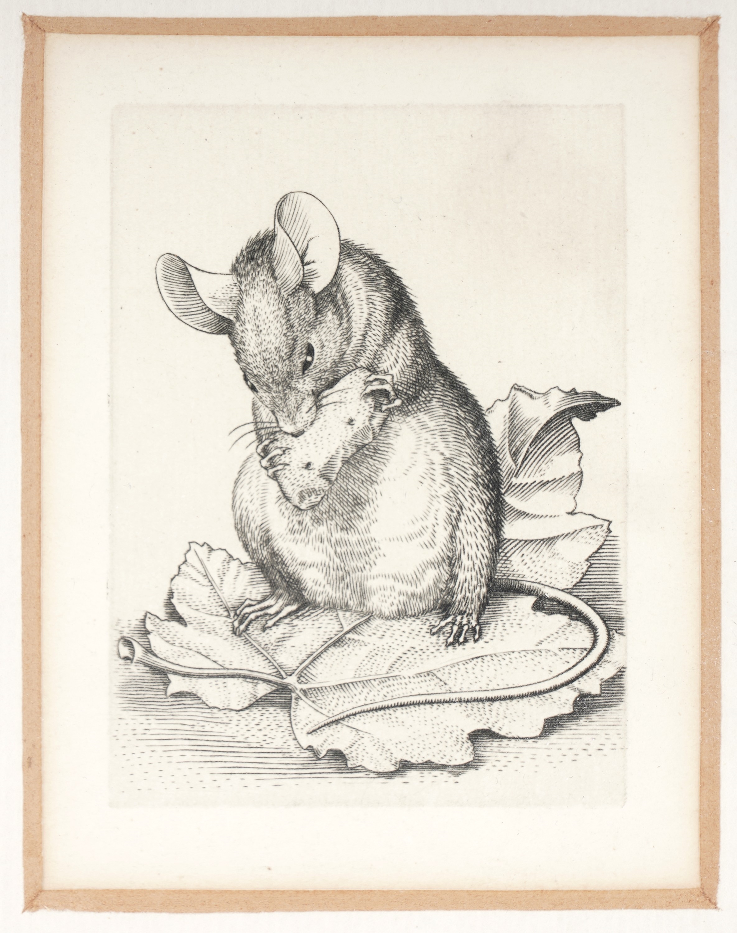 Stephen Gooden | Three studies | etchings (1941) | MutualArt