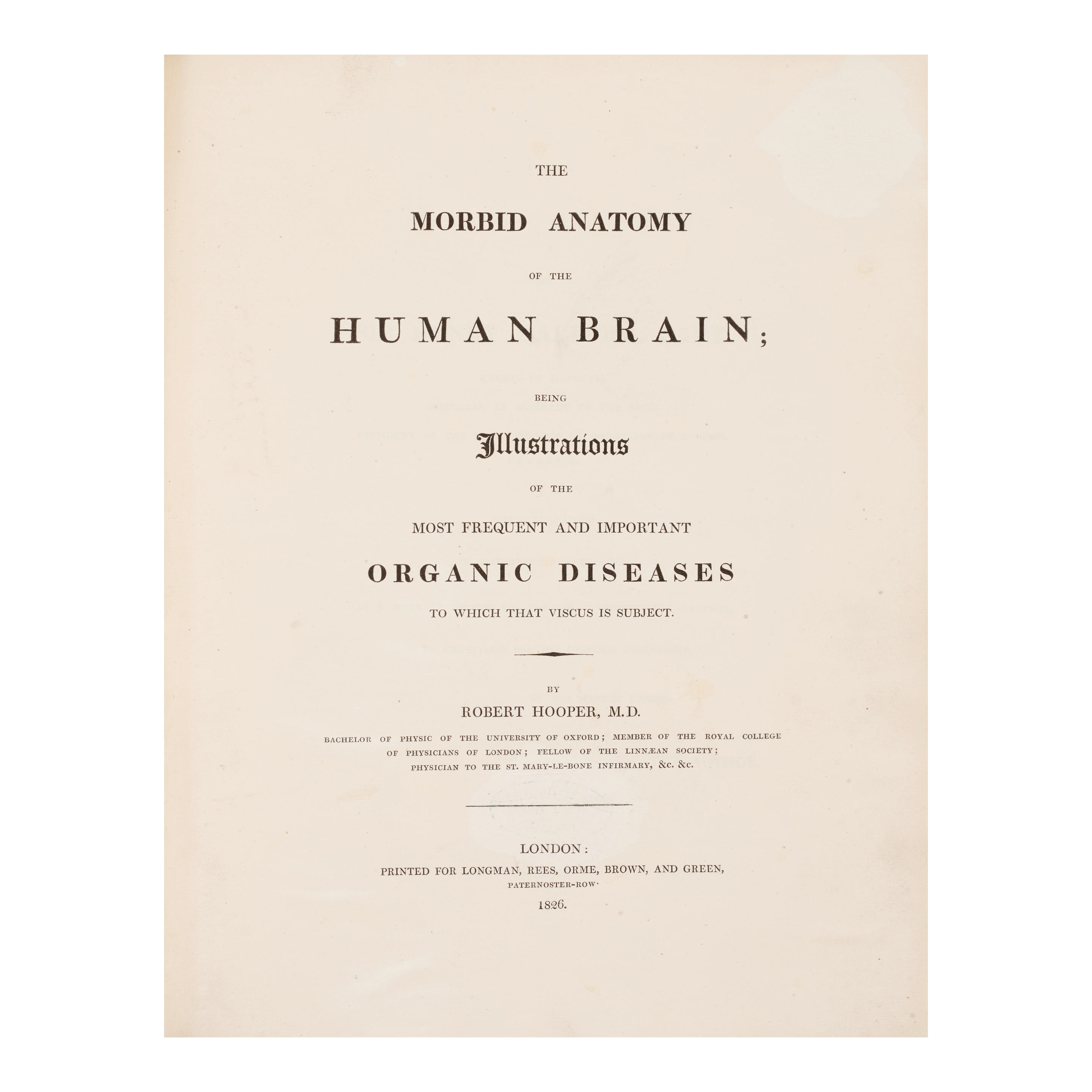 Mr. Hooper | The Morbid Anatomy of the Human Brain. London: Longman ...