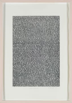 Artwork by Willem Boshoff, Verkanste Openbaring, from KykAfrikaans (Entrenched Revelation, Made of screenprint on paper