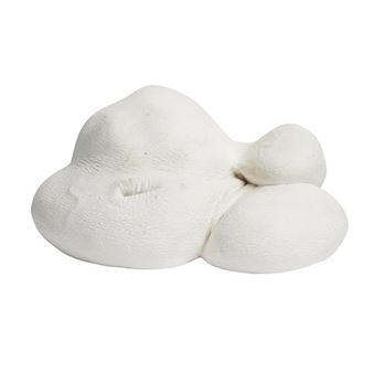 Stem Cell - Patricia Piccinini