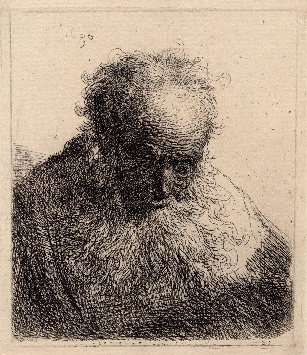 Rembrandt van Rijn | Old Man With a Flowing Beard (1880) | MutualArt