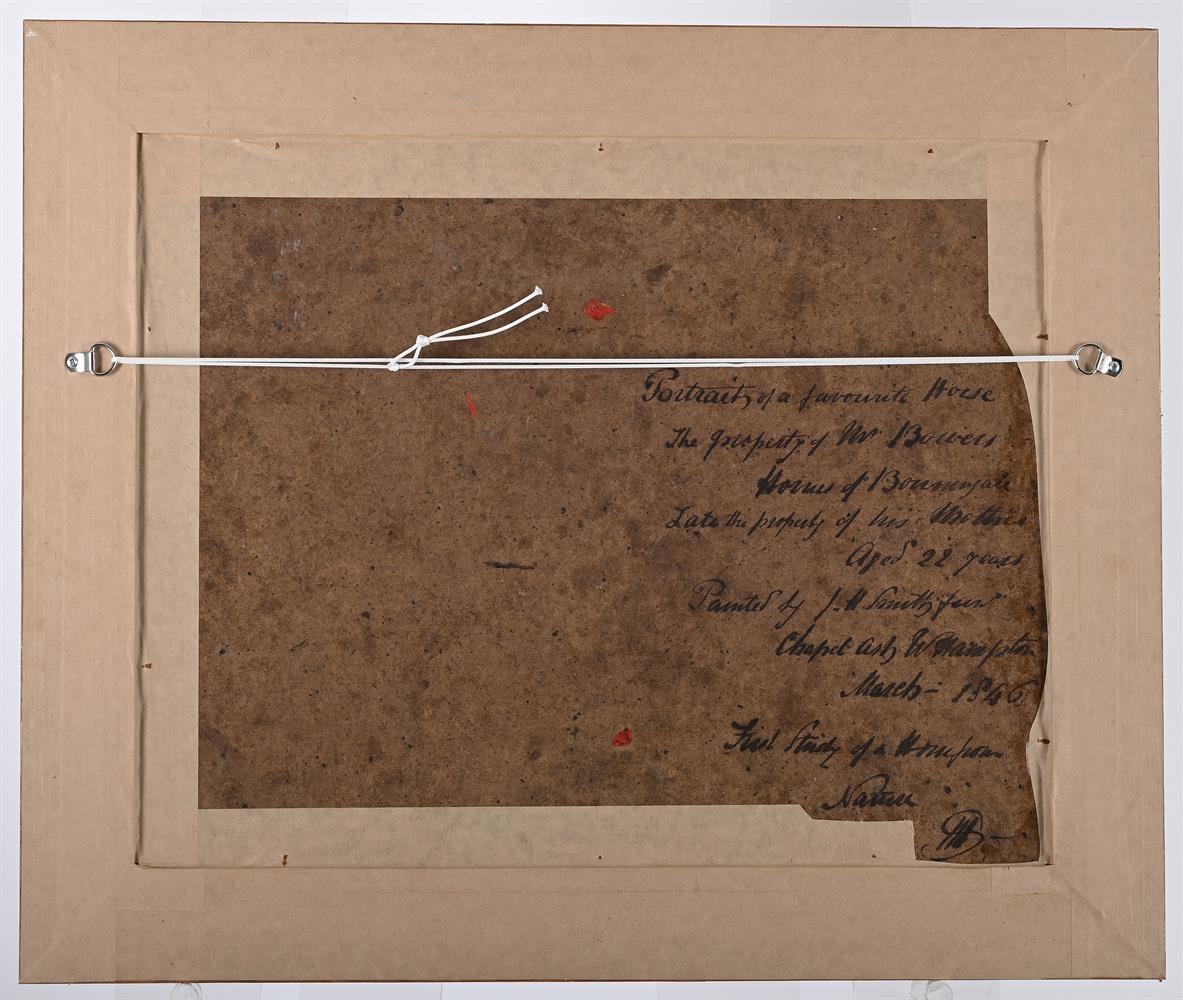 Artwork by J. W. Smith, PORTRAIT OF A FAVOURITE HORSE, Made of Oil on board