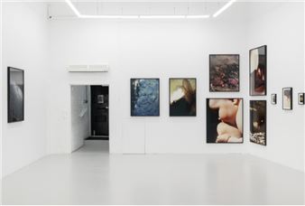 Harley Weir: The Garden - Hannah Barry Gallery