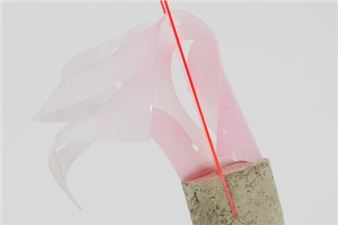 Sebastian Kuhn: re_ - Anita Beckers