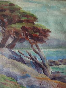 Monterey Cypress - Paul Conner